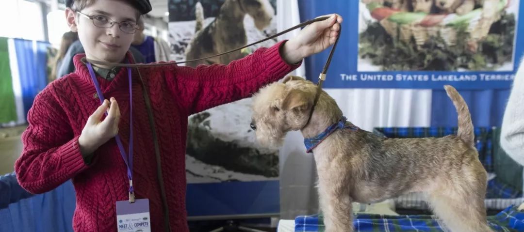 前台帅爆，后台萌炸 | 犬展可以这么好玩儿-22.jpeg