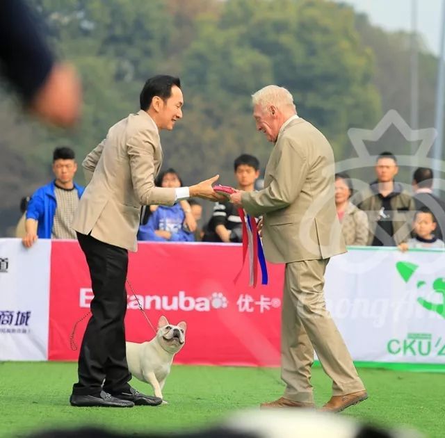 CKU赛事快报 | 3月2日成都中国冠军展BIS获奖犬只-8.jpeg