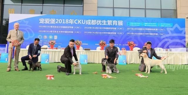 CKU赛事快报 | 3月2日成都中国冠军展BIS获奖犬只-12.jpeg