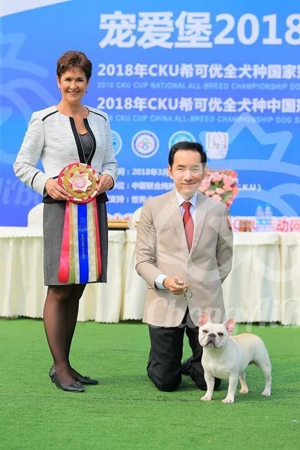 CKU赛事快报 | 3月2日成都国家冠军展BIS获奖犬只-8.jpeg