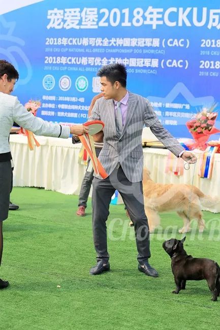 CKU赛事快报 | 3月2日成都国家冠军展BIS获奖犬只-14.jpeg