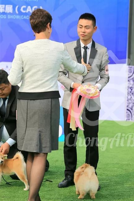 CKU赛事快报 | 3月2日成都国家冠军展BIS获奖犬只-19.jpeg