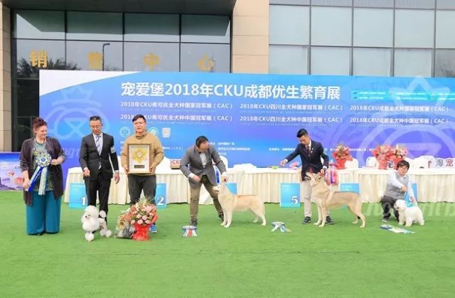 CKU赛事快报 | 3月3日成都国家冠军展BIS获奖犬只-2.jpeg