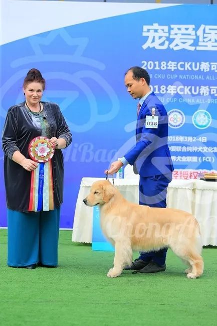CKU赛事快报 | 3月3日成都国家冠军展BIS获奖犬只-8.jpeg