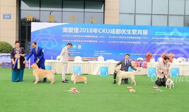 CKU赛事快报 | 3月3日成都国家冠军展BIS获奖犬只-7.jpeg