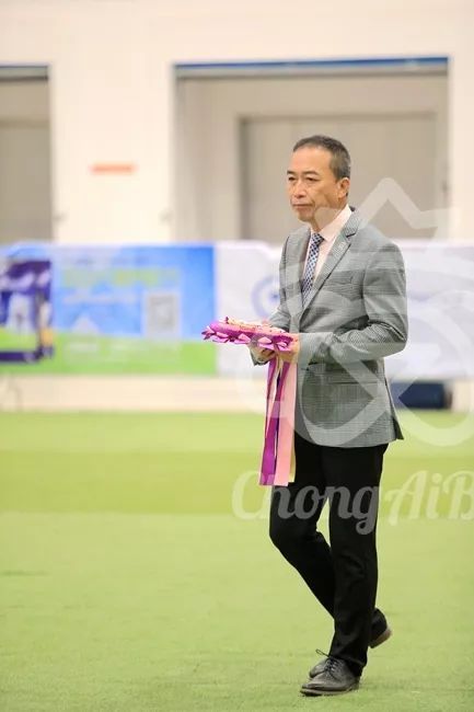 CKU赛事快报 | 3月4日潍坊国际冠军展BIS获奖犬只-1.jpeg