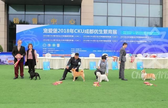 CKU赛事快报 | 3月4日成都国家冠军展BIS获奖犬只-7.jpeg