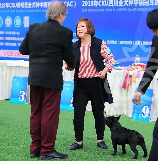 CKU赛事快报 | 3月4日成都国家冠军展BIS获奖犬只-8.jpeg