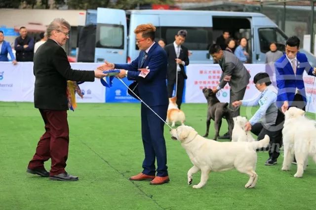 CKU赛事快报 | 3月4日成都国家冠军展BIS获奖犬只-6.jpeg