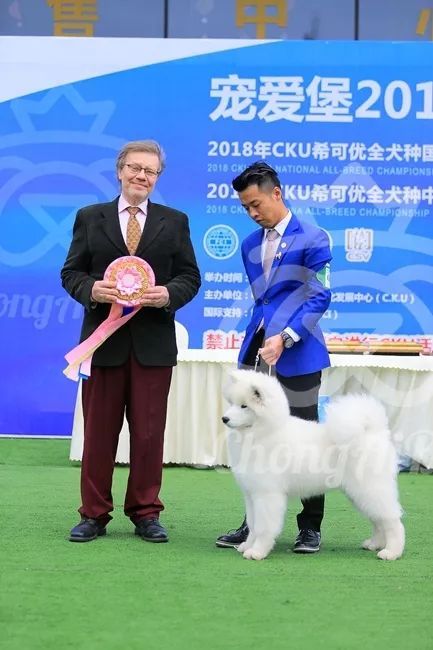 CKU赛事快报 | 3月4日成都国家冠军展BIS获奖犬只-17.jpeg