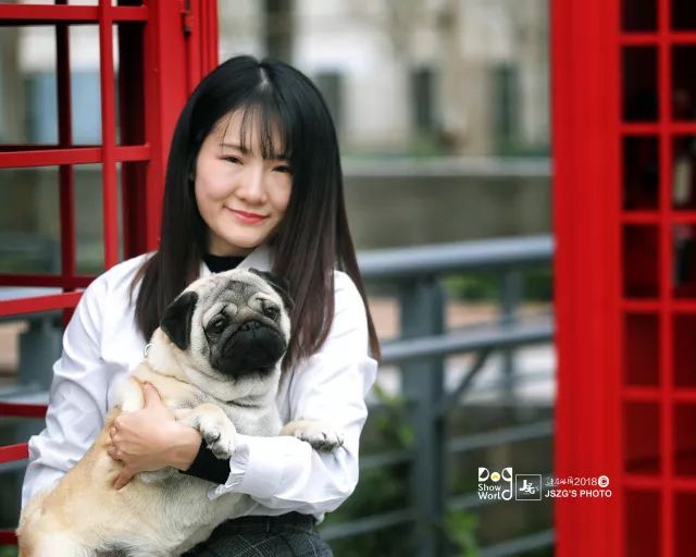 2017年CKU排行榜，八哥犬排行一：Max-3.jpeg