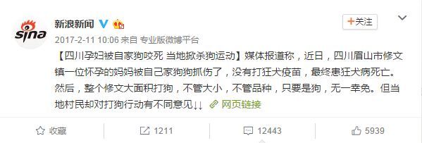 忍不住要说：舍不得花钱，就别养狗了-3.jpeg