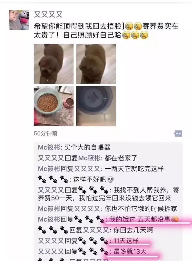 忍不住要说：舍不得花钱，就别养狗了-4.jpeg