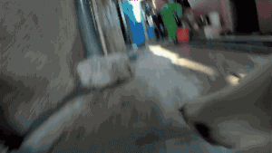 女孩逗狗惨遭毁容 | “人类，你的热情吓坏了我”-4.gif