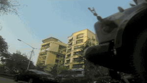 女孩逗狗惨遭毁容 | “人类，你的热情吓坏了我”-3.gif
