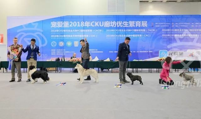 CKU赛事快报 | 3月9日廊坊中国冠军展BIS获奖犬只-2.jpeg