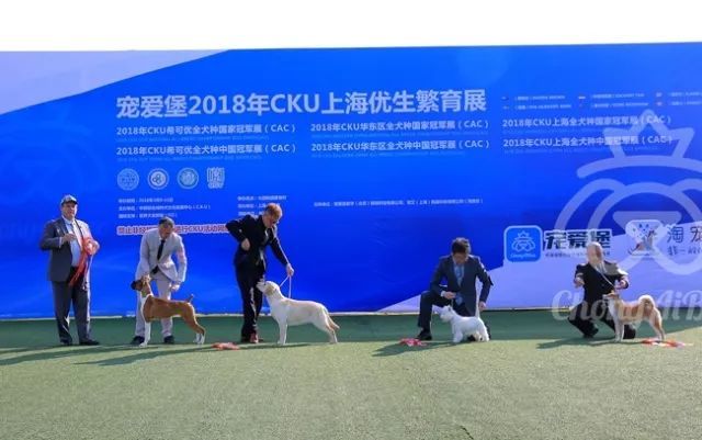 CKU赛事快报 | 3月10日上海中国冠军展BIS获奖犬只-12.jpeg