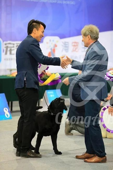 CKU赛事快报 | 3月10日廊坊FCI国际冠军展BIS获奖犬只-5.jpeg