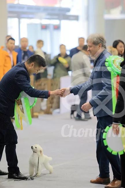 CKU赛事快报 | 3月10日廊坊FCI国际冠军展BIS获奖犬只-20.jpeg