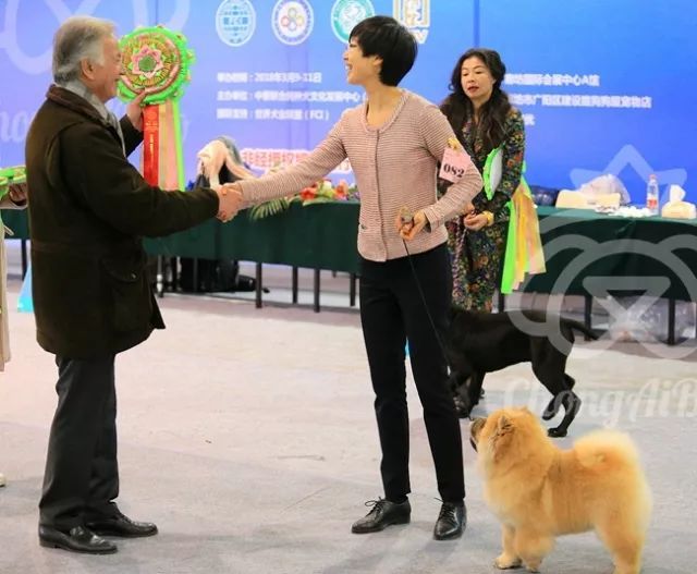 CKU赛事快报 | 3月11日廊坊FCI国际冠军展BIS获奖犬只-19.jpeg