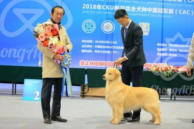 CKU赛事快报 | 3月11日廊坊中国冠军展BIS获奖犬只-3.jpeg