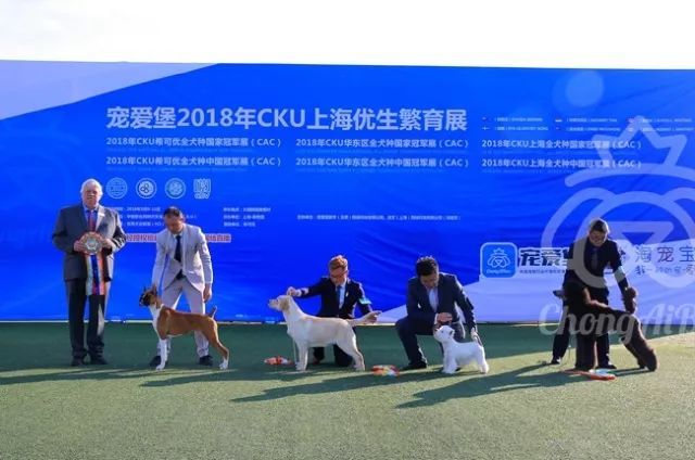 CKU赛事快报 | 3月11日上海中国冠军展BIS获奖犬只-12.jpeg