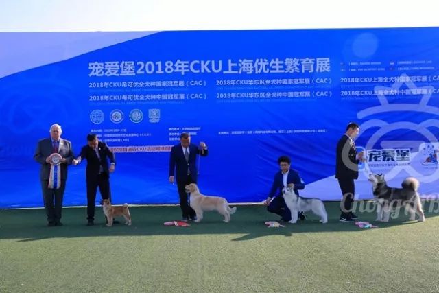 CKU赛事快报 | 3月11日上海中国冠军展BIS获奖犬只-17.jpeg