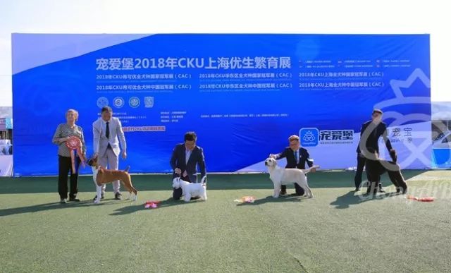 CKU赛事快报 | 3月11日上海国家冠军展BIS获奖犬只-12.jpeg