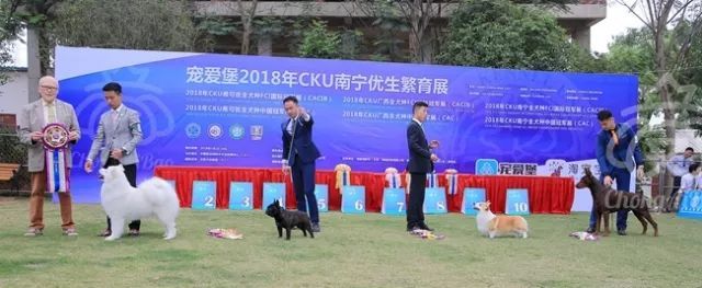 CKU赛事快报 | 3月16日南宁冠军展BIS获奖犬只-2.jpeg