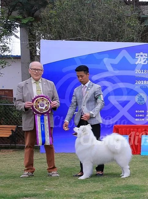 CKU赛事快报 | 3月16日南宁冠军展BIS获奖犬只-3.jpeg