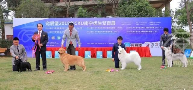 CKU赛事快报 | 3月17日南宁冠军展BIS获奖犬只-8.jpeg