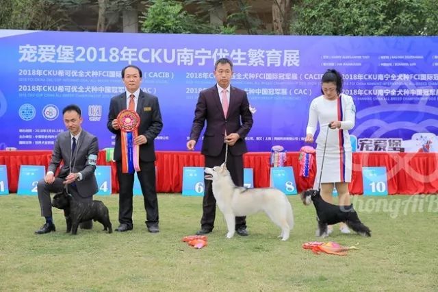 CKU赛事快报 | 3月17日南宁冠军展BIS获奖犬只-9.jpeg