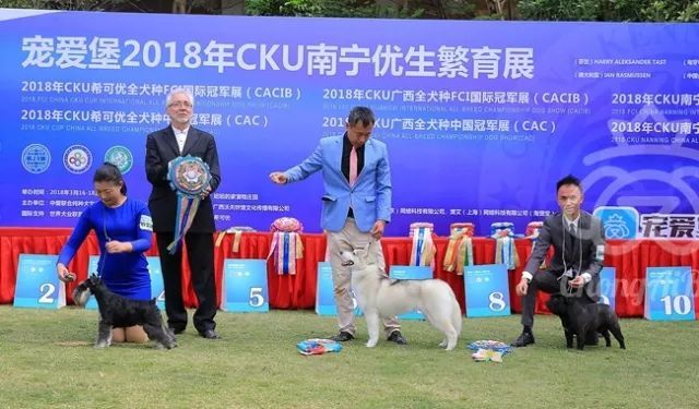CKU赛事快报 | 3月18日南宁冠军展BIS获奖犬只-4.jpeg