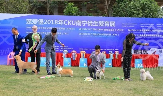 CKU赛事快报 | 3月18日南宁冠军展BIS获奖犬只-5.jpeg