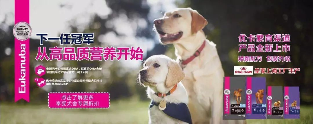下一任冠军犬，从高品质营养开始！-1.jpeg