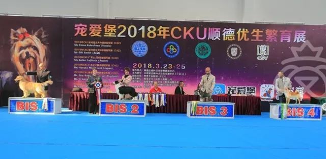 CKU赛事快报 | 3月23日顺德冠军展BIS获奖犬只-3.jpeg