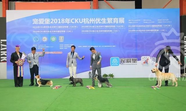 CKU赛事快报 | 3月23日杭州冠军展BIS获奖犬只-2.jpeg