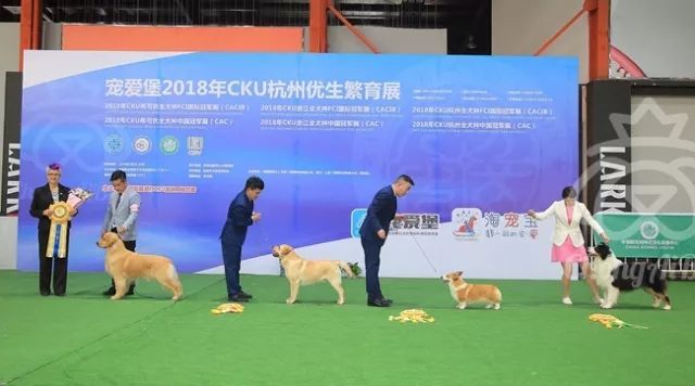 CKU赛事快报 | 3月23日杭州冠军展BIS获奖犬只-3.jpeg