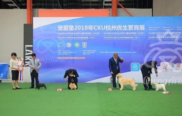 CKU赛事快报 | 3月23日杭州冠军展BIS获奖犬只-10.jpeg