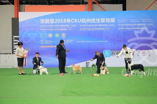 CKU赛事快报 | 3月23日杭州冠军展BIS获奖犬只-9.jpeg