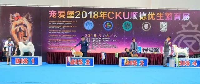CKU赛事快报 | 3月24顺德冠军展BIS获奖犬只-7.jpeg