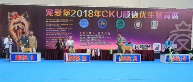 CKU赛事快报 | 3月24顺德冠军展BIS获奖犬只-10.jpeg