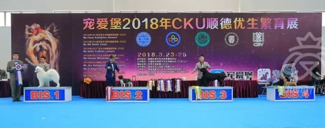 CKU赛事快报 | 3月25日顺德冠军展BIS获奖犬只-2.jpeg