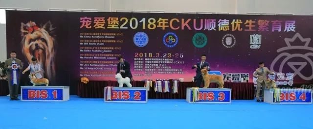 CKU赛事快报 | 3月25日顺德冠军展BIS获奖犬只-3.jpeg