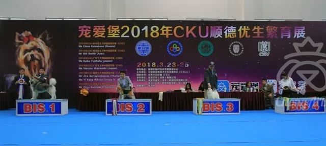 CKU赛事快报 | 3月25日顺德冠军展BIS获奖犬只-8.jpeg