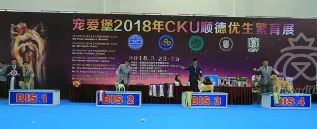 CKU赛事快报 | 3月25日顺德冠军展BIS获奖犬只-10.jpeg