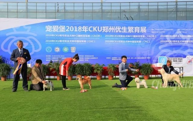 CKU赛事快报 | 3月30日郑州冠军展BIS获奖犬只-9.jpeg