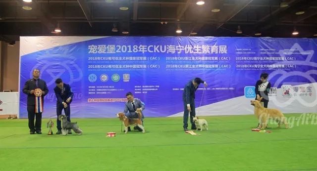 CKU赛事快报 | 3月30日海宁冠军展BIS获奖犬只-3.jpeg