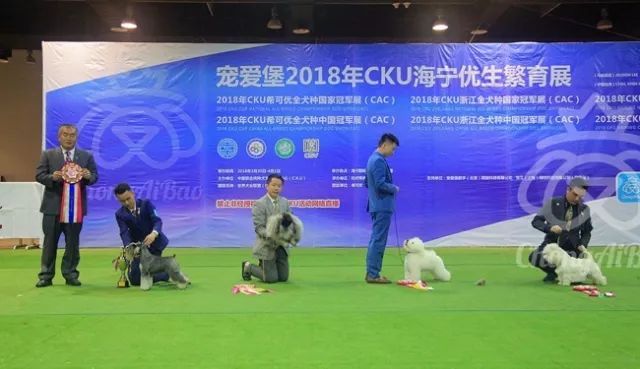 CKU赛事快报 | 3月30日海宁冠军展BIS获奖犬只-8.jpeg