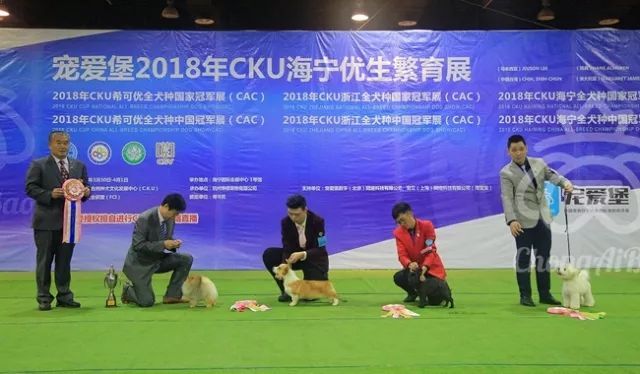 CKU赛事快报 | 3月30日海宁冠军展BIS获奖犬只-10.jpeg